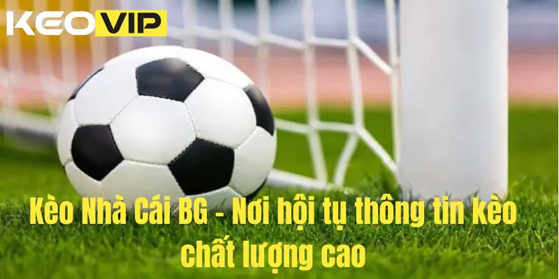 Kèo Nhà Cái BG – Nơi hội tụ thông tin kèo chất lượng cao