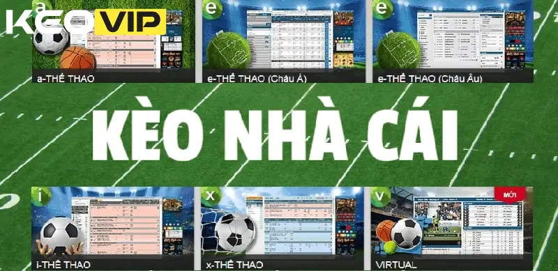 Hướng dẫn sử dụng Kèo Nhà Cái BG hiệu quả nhất