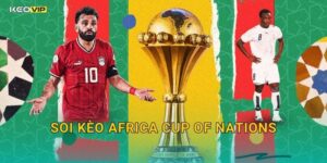 Africa Cup of Nations Gây Sốt – Kèo Nhà Cái BG Cập Nhật Soi Kèo Toàn Bộ Lịch Đấu