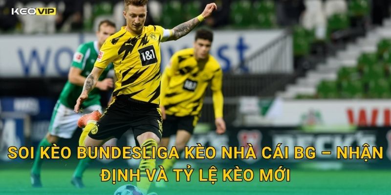 Soi Kèo Bundesliga Kèo Nhà Cái BG – Nhận Định Và Tỷ Lệ Kèo Mới