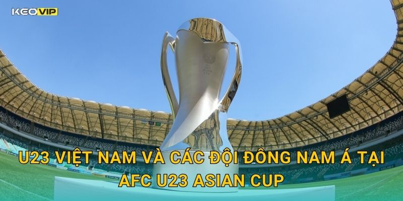 U23 Việt Nam Và Các Đội Đông Nam Á Tại AFC U23 Asian Cup
